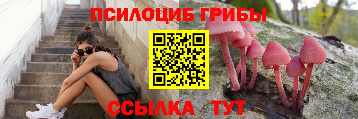 Псилоцибиновые грибы мухоморы  Вход с VPN  Волгодонск  Псилоцибиновые грибы GOLDEN TEACHER 